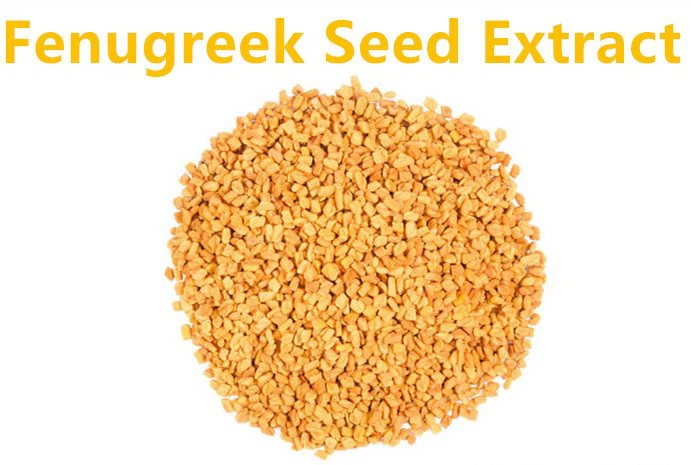 Fenugreek Seed Extract Powder.png